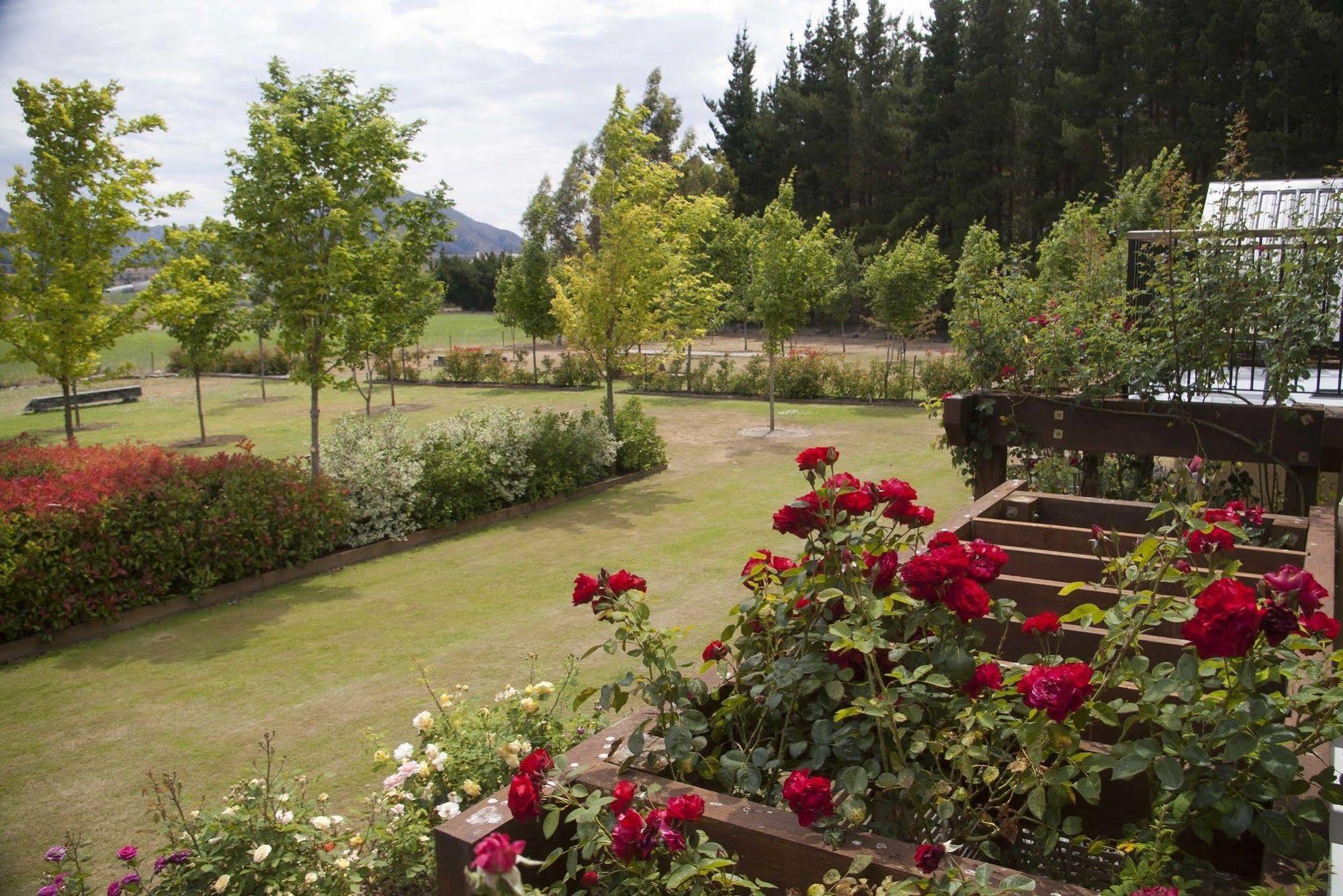 Maple Lodge Luxury Bed & Breakfast Albert Town Εξωτερικό φωτογραφία